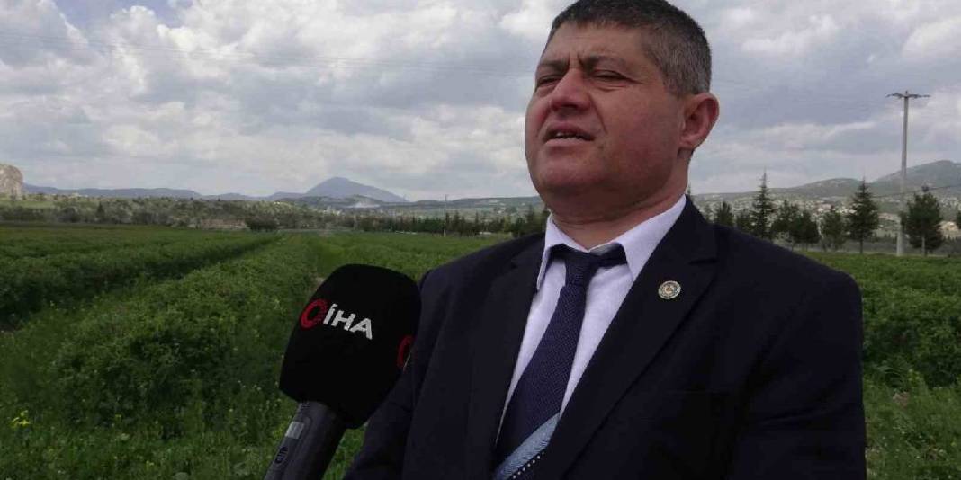 Isparta gül hasadına hazırlanıyor: Rekolte beklentisi 13 bin ton 6